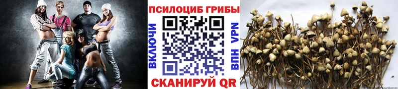 кракен зеркало  Уварово  Галлюциногенные грибы MAGIC MUSHROOMS 